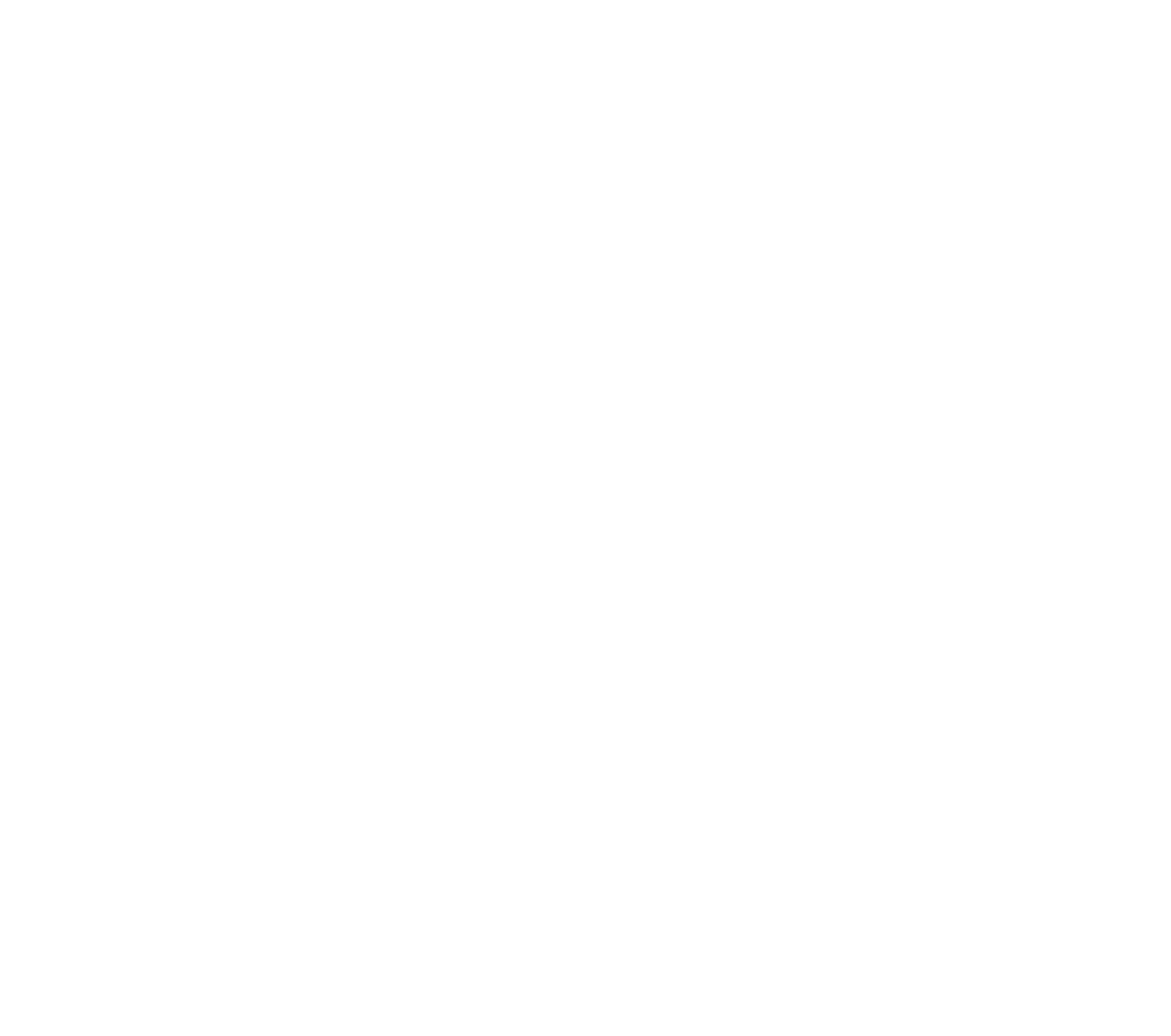 MS Elevators logo